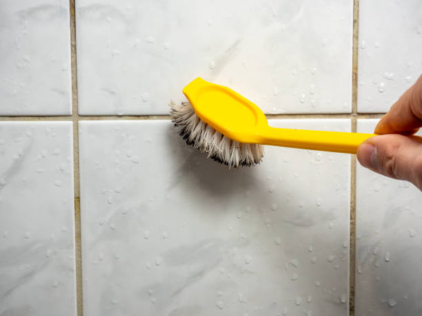 Best Office Mold Removal Services  in Siesta Shores, TX
