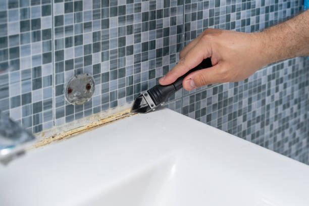 Best Home Mold Removal  in Siesta Shores, TX